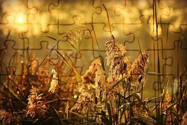 Imagem jigsaw puzzle