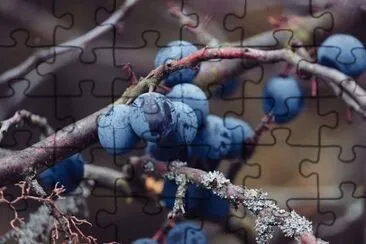 Imagem jigsaw puzzle