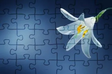 Imagem jigsaw puzzle