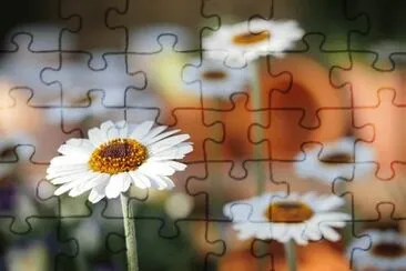 Imagem jigsaw puzzle