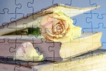 Imagem jigsaw puzzle