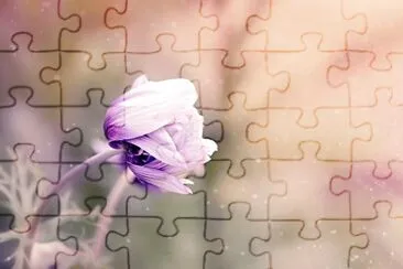 Imagem jigsaw puzzle