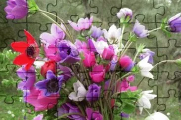 Imagem jigsaw puzzle