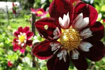 Imagem jigsaw puzzle
