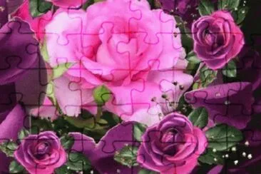 Imagem jigsaw puzzle