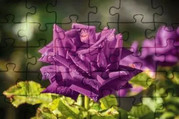 Imagem jigsaw puzzle