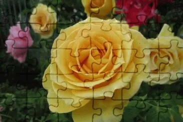 Imagem jigsaw puzzle