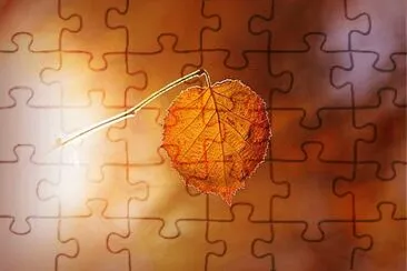 Imagem jigsaw puzzle