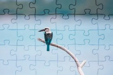 Imagem jigsaw puzzle