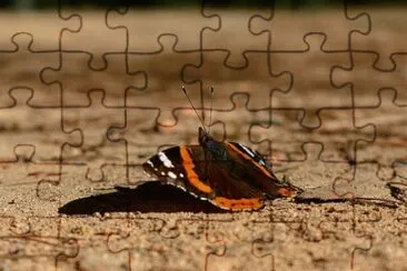 Imagem jigsaw puzzle
