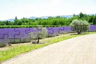 Imagem jigsaw puzzle