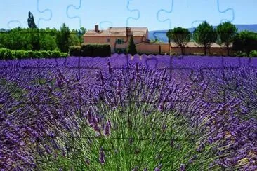 Imagem jigsaw puzzle