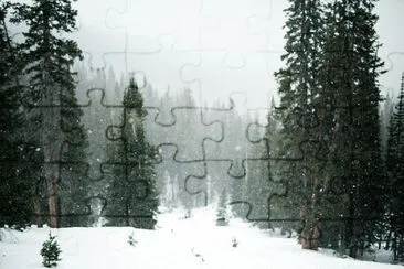 Imagem jigsaw puzzle