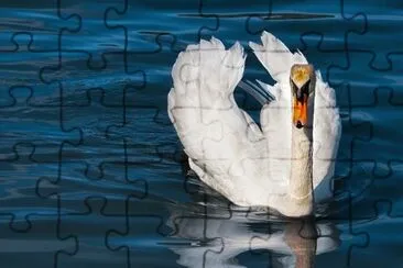 Imagem jigsaw puzzle