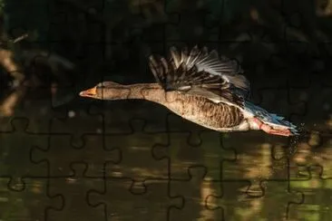 Imagem jigsaw puzzle