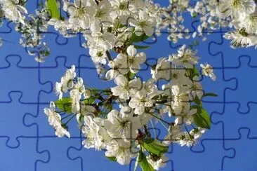 Imagem jigsaw puzzle