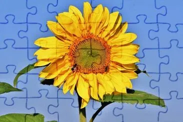 Imagem jigsaw puzzle