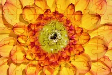 Imagem jigsaw puzzle