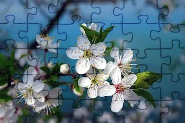 Imagem jigsaw puzzle