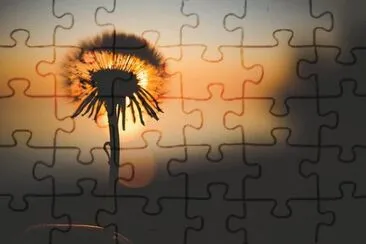 Imagem jigsaw puzzle