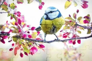 Imagem jigsaw puzzle