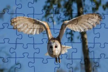 Imagem jigsaw puzzle