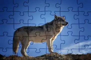 Imagem jigsaw puzzle