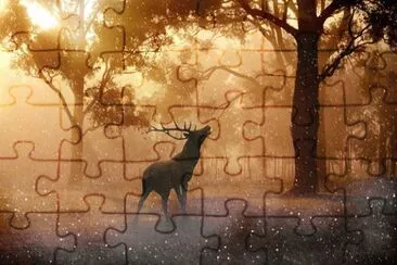 Imagem jigsaw puzzle