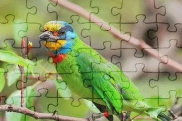 Imagem jigsaw puzzle