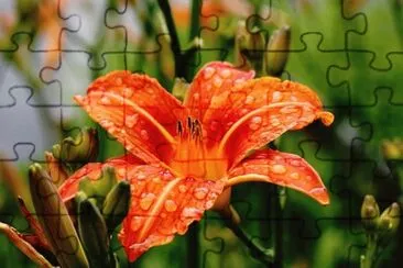Imagem jigsaw puzzle