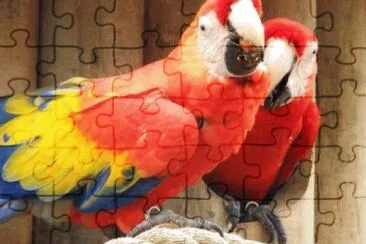 Imagem jigsaw puzzle