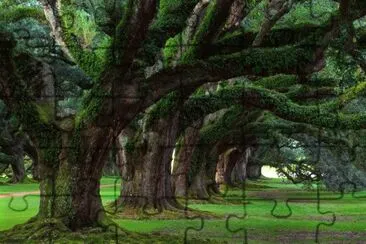 Imagem jigsaw puzzle