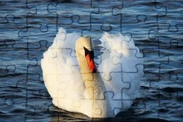 Imagem jigsaw puzzle
