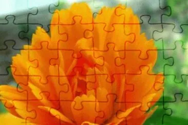 Imagem jigsaw puzzle