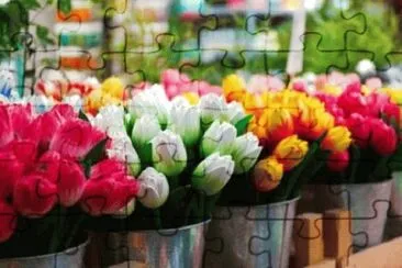 Imagem jigsaw puzzle
