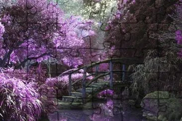 Imagem jigsaw puzzle