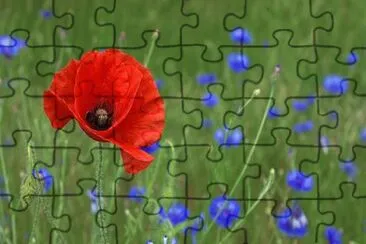 Imagem jigsaw puzzle
