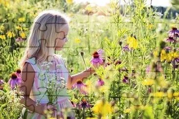 Imagem jigsaw puzzle