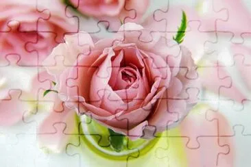Imagem jigsaw puzzle