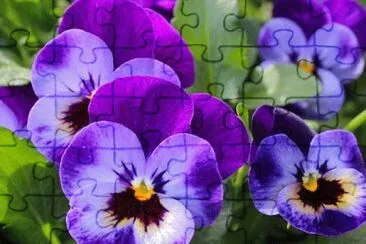 Imagem jigsaw puzzle