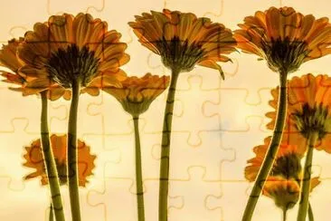 Imagem jigsaw puzzle