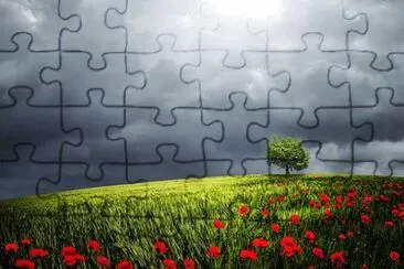 Imagem jigsaw puzzle