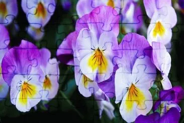 Imagem jigsaw puzzle