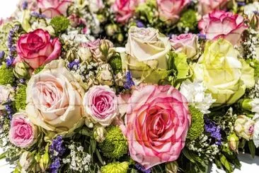 Imagem jigsaw puzzle