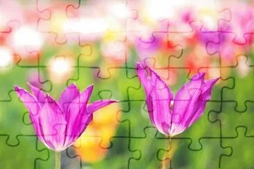Imagem jigsaw puzzle