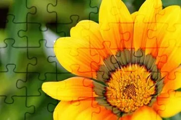 Imagem jigsaw puzzle