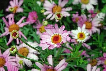 Imagem jigsaw puzzle