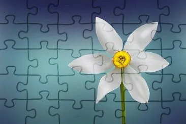Imagem jigsaw puzzle