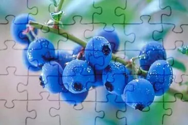 frutas jigsaw puzzle