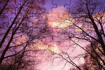 Imagem jigsaw puzzle